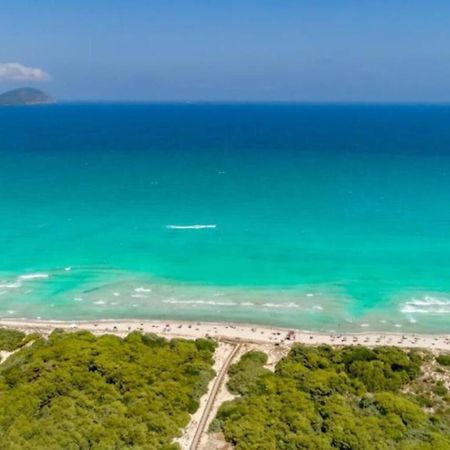 Beach House Alcudia Zewnętrze zdjęcie